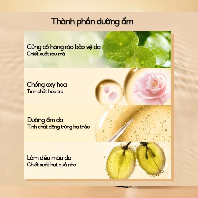 vn-11134207-7r98o-lkukqm8xsg8r13